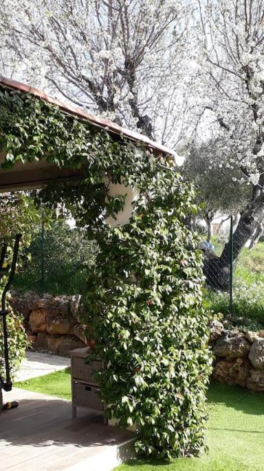 Maison 2 Ou 4 Personnes Jardin Parking Les Amandiers Lorgues Exterior foto